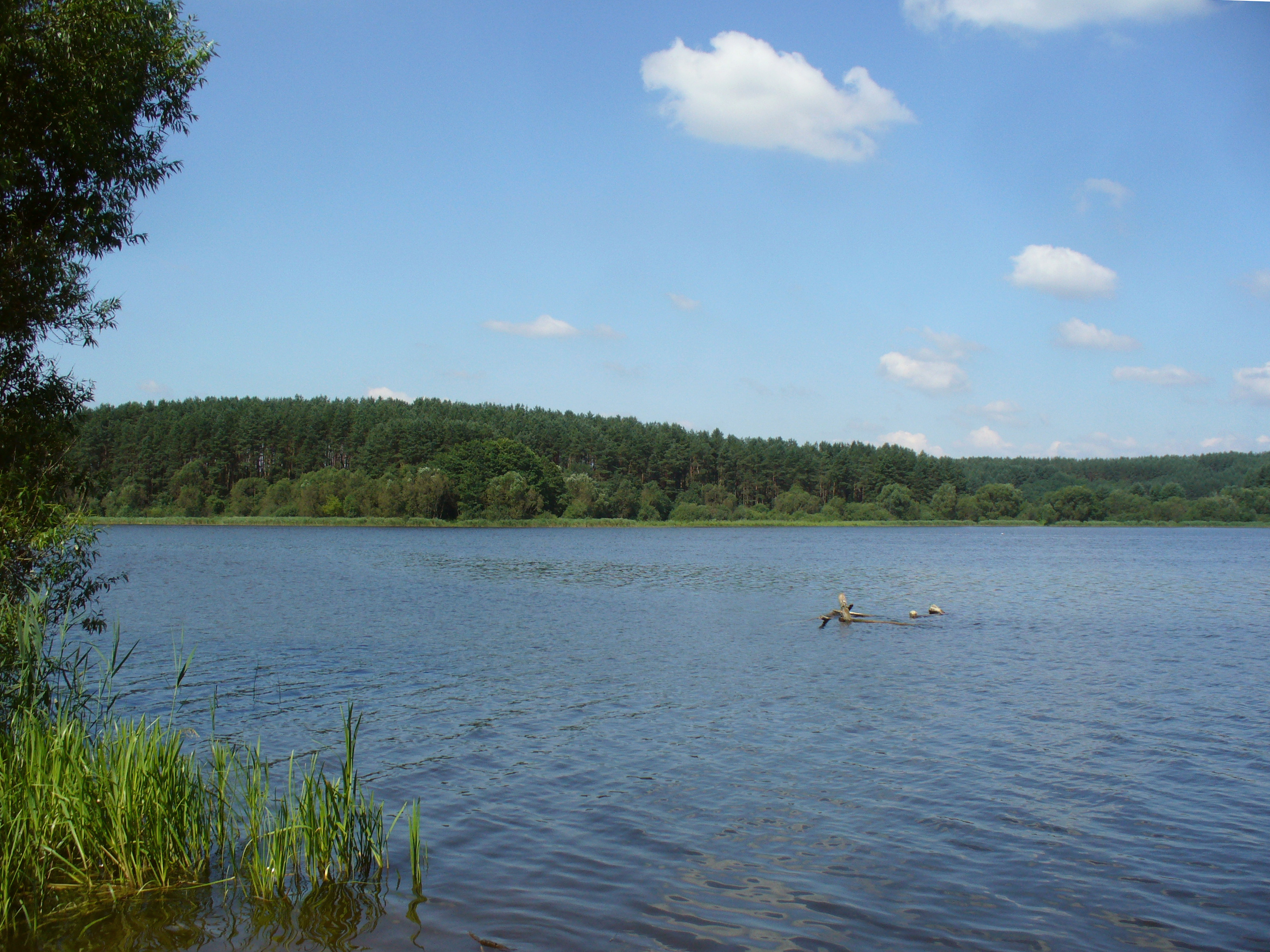 Озеро &amp;quot;Луговое&amp;quot;.